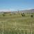 Our fields of hay...